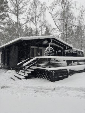 Hirsimökki merinäköala&sauna&iso terassi